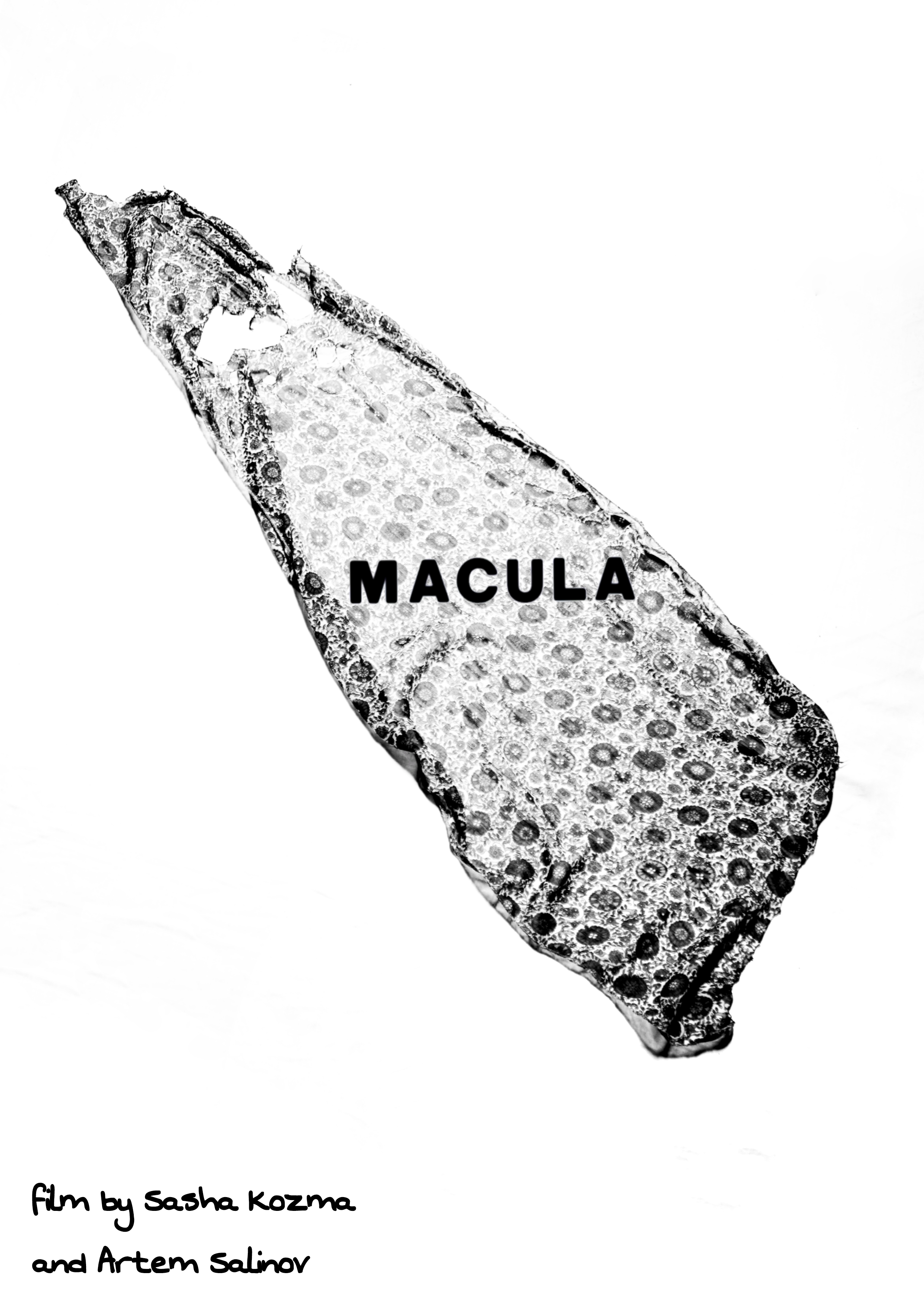 Macula